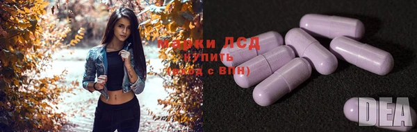 сатива Медвежьегорск
